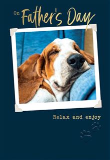 FD RELAX ENJOY DOG