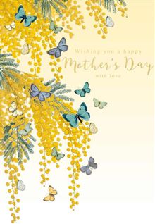 MD MIMOSA BUTTERFLIES