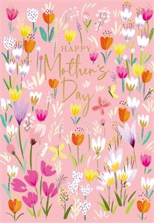 MD SPRING FLOWER MEADOW