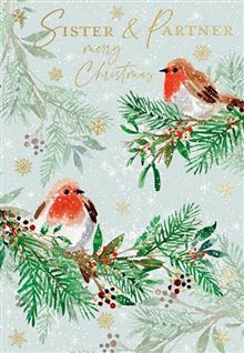 XMAS SIS PARTNER ROBINS