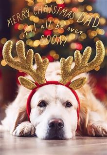 XMAS DAD DOG REINDEER