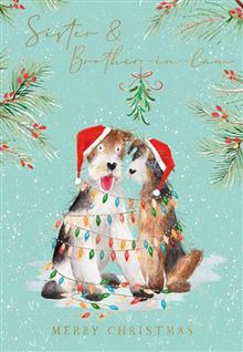 XMAS SIS BROIL TWO DOGS