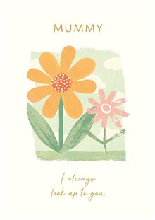 MD MUMMY LOOK UP TO YOU