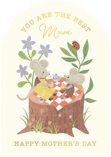 MD LITTLE MOUSE PICNIC
