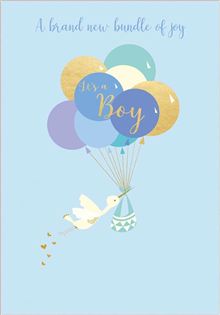 LIFE SOUL: BABY BOY STORK