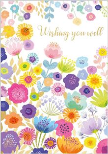 GET WELL FLOWER GARDEN