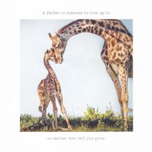 FD TRAVELOGUE HOW TALL