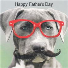 FD FUNNY ANIMALS GREY DOG