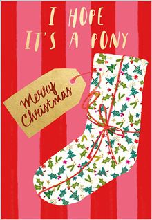 XMAS CARD HOPE ITS A PONY