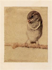 ATHENA MINI CARD -FLEUR