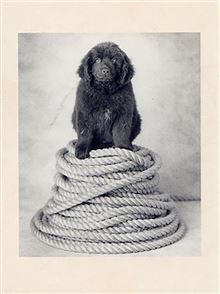 ATHENAMINI CARD - HENRY MILLER