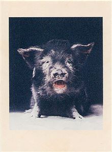 ATHENA MINI CARD - TIPLET