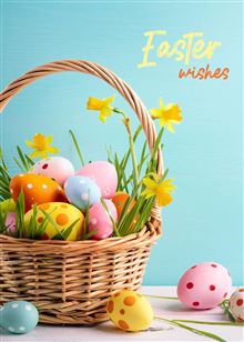 EA: EGGS IN BASKET W DAFFODILS
